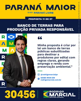 Prévia da arte "Faixa dourada" da proposta Banco de Terras para Produção Privada Responsável