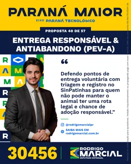 Prévia da arte "Faixa dourada" da proposta Entrega Responsável & Antiabandono (PEV-A)