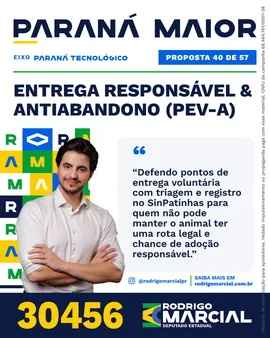 Prévia da arte "Editorial claro" da proposta Entrega Responsável & Antiabandono (PEV-A)