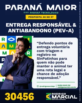Prévia da arte "Azul profundo" da proposta Entrega Responsável & Antiabandono (PEV-A)