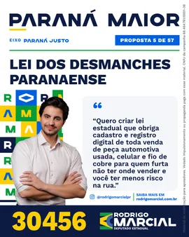 Prévia da arte "Editorial claro" da proposta Lei dos Desmanches Paranaense