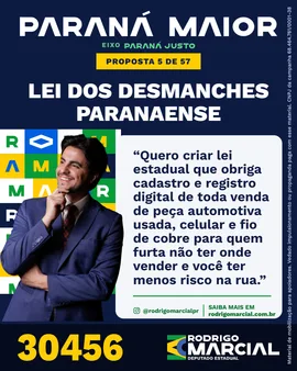 Prévia da arte "Azul profundo" da proposta Lei dos Desmanches Paranaense