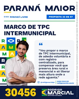 Prévia da arte "Editorial claro" da proposta Marco de TPC Intermunicipal