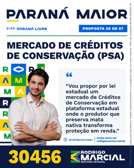 Prévia da arte "Editorial claro" da proposta Mercado de Créditos de Conservação (PSA)