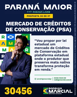 Prévia da arte "Azul profundo" da proposta Mercado de Créditos de Conservação (PSA)