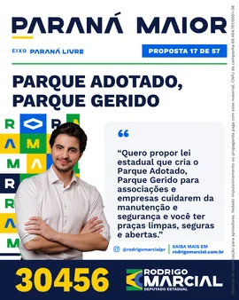 Prévia da arte "Editorial claro" da proposta Parque Adotado, Parque Gerido