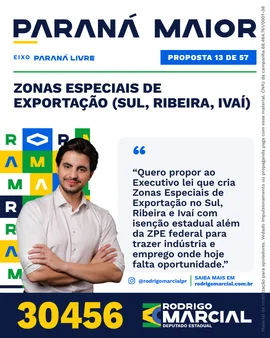 Prévia da arte "Editorial claro" da proposta Zonas Especiais de Exportação (Sul, Ribeira, Ivaí)